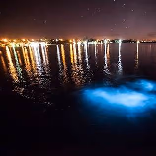 Falmouth Luminous Lagoon